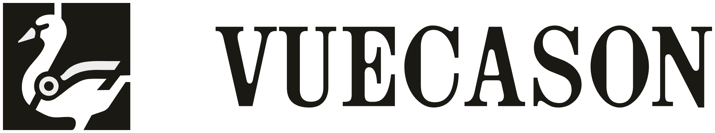 Vuecason